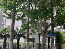 新天地 巴士小区 1室 满五V一 近D铁 高区视野好