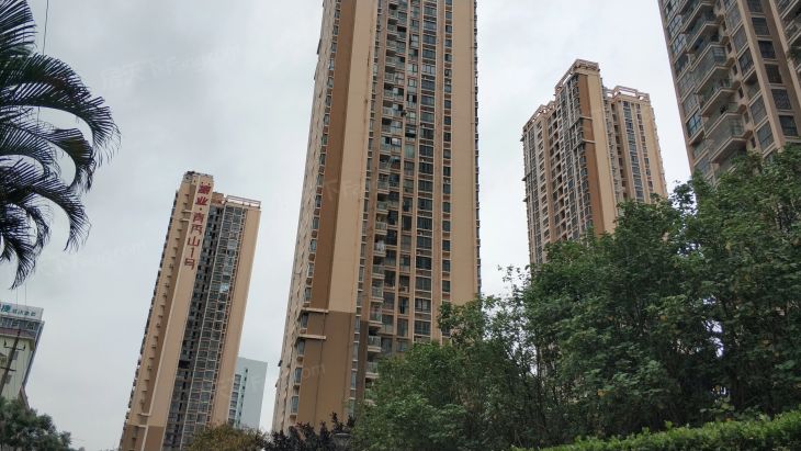 振业青秀山1号实景图