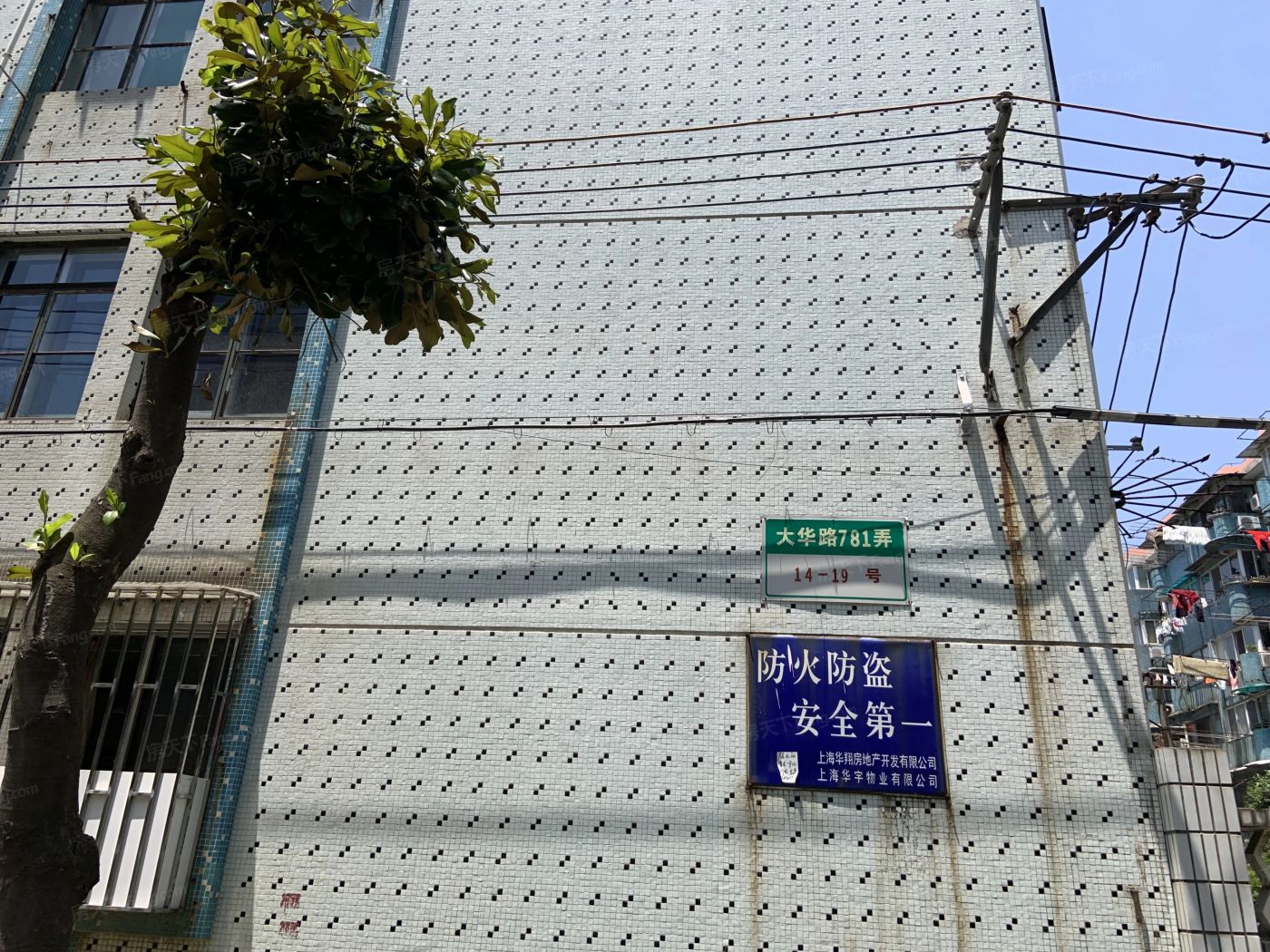 实景图