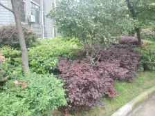 平安曼哈顿风情 1室0厅 北