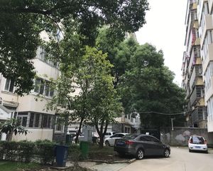 莲花家园 南北通透,采光好 视野好,诚心出售