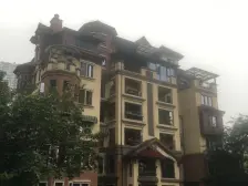 梧桐郡 洋房 花园约100 地下室全采光 轻轨3 10号线