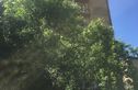 龙湖大名居实景图