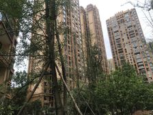 金恒德时代金悦3室2厅西北