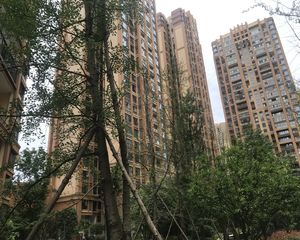 金恒德时代金悦3室2厅西北