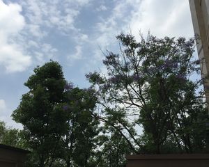 蓝光雍锦阁5室1厅西