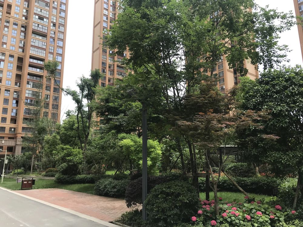 小区相关图