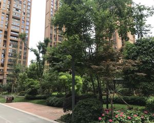 金恒德时代金悦3室1厅西南