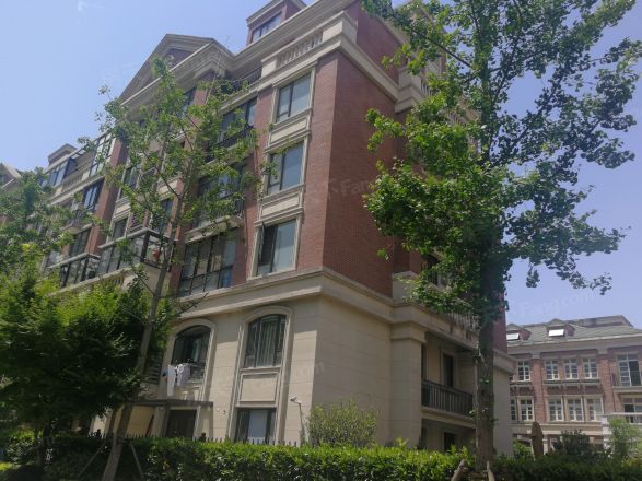 九龙仓碧堤半岛光辉岁月实景图