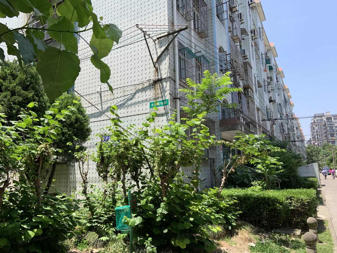 实景图