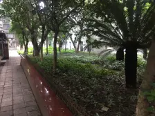 光电路 花园二村二房34万