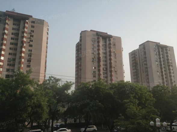 唐钢高层实景图