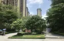 雅居乐剑桥郡实景图