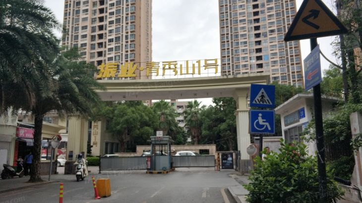 振业青秀山1号实景图