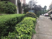 上海城旁 轻轨大两房急售!钥匙在手 业主安心卖 无抵押