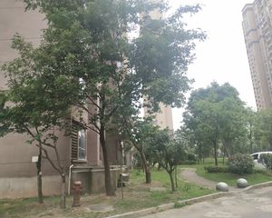 大都会南北通透,采光好装修好,环镜优美中间楼层