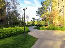 郑大别墅区 采光刺眼 南北通透满五唯一随时看房可谈