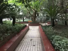 花园2村 低楼层 采光好 户型方正