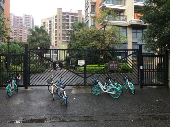 森海豪庭观海阁商住楼实景图