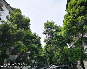 金卉苑3室2厅南东南