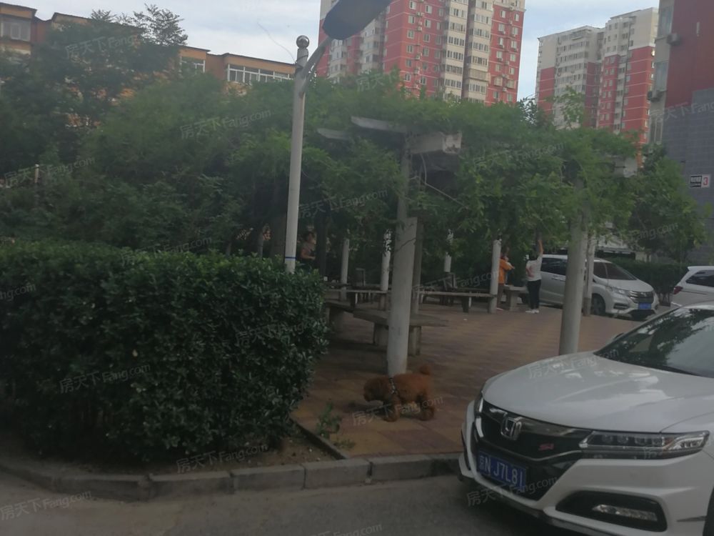 小区相关图