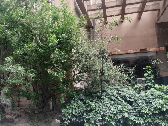 人民南路四段53号院实景图