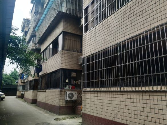 人民南路四段53号院实景图