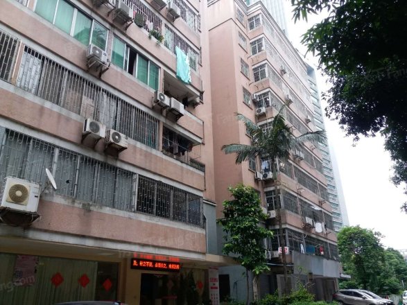 华港花园华运楼实景图