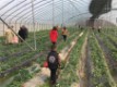 金鹏中国印活动现场