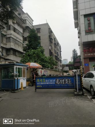 钻石年代实景图