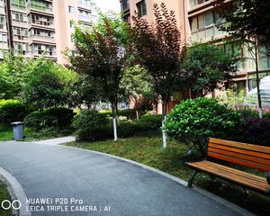 新雨香沁6室2厅西南