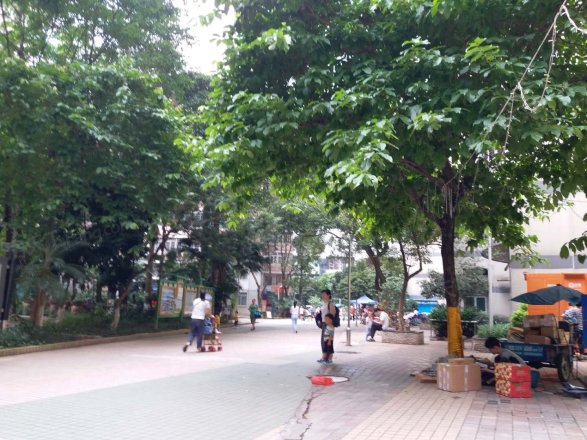 华港花园华运楼实景图