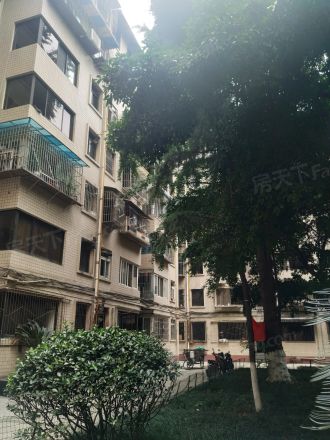 人民南路四段53号院实景图