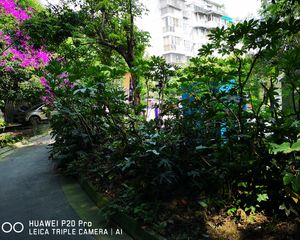 福祥家园瑞祥苑1室1厅东北