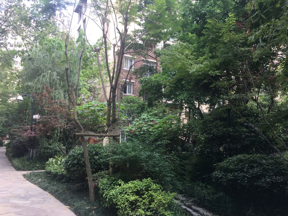 小区相关图