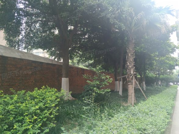 人民南路四段53号院实景图