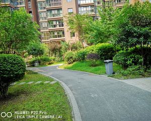 新雨香沁4室1厅西南