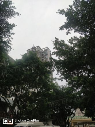 钻石年代实景图