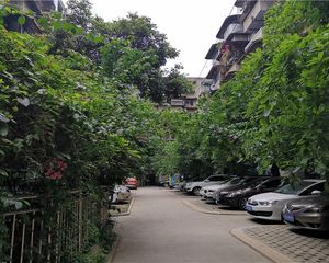 长天路3号 3室1厅 南