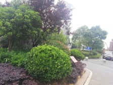 尹山湖 · 碧堤雅苑 · 4室 · 2厅