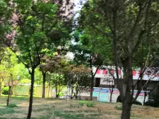 电梯中高楼层,精装三居室,R2线公交,火车站大润发