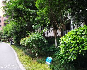 新雨香沁4室2厅西南