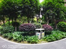 新雨香沁 6室4厅 东南