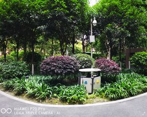 新雨香沁6室4厅东南