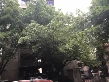 谢家湾重庆出版社小区二房1600元/月