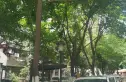 天仁南街3号院实景图