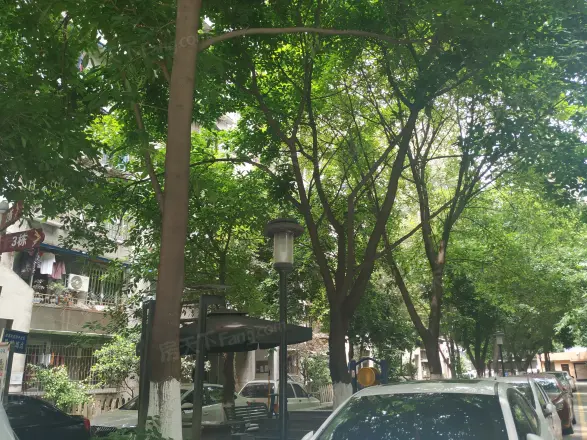 天仁南街3号院实景图