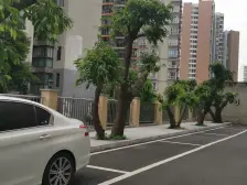 红土地立交 无专厂 电梯两房