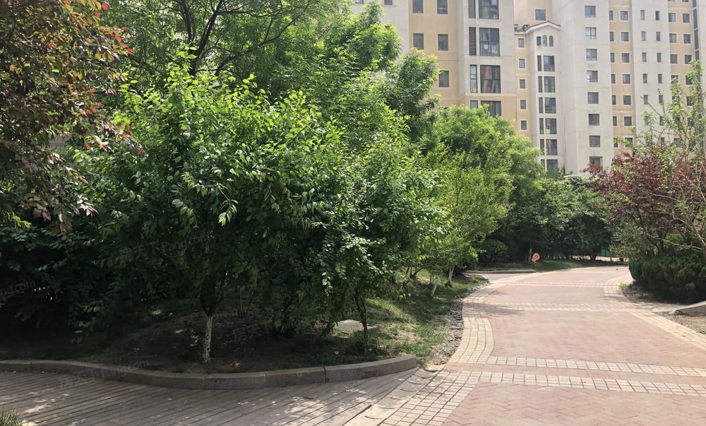 精装两居 好楼层 拎包住 产权清晰,天津滨海新区中新生态城美林园二手