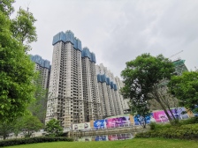 红星开发商,自己的物业,科学人性化管理。错落有致